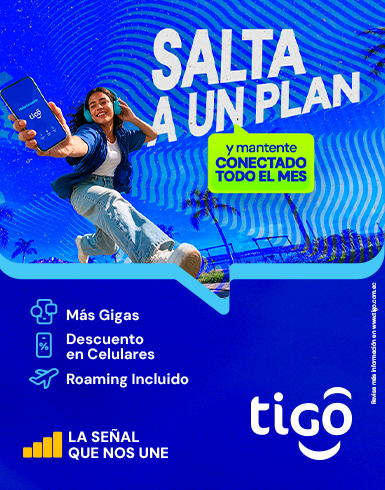 Salta-385x490