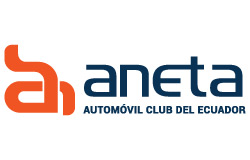 Aneta Logo