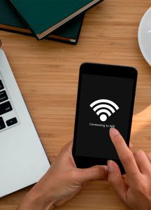 netlife-malleljardin-2-216x300